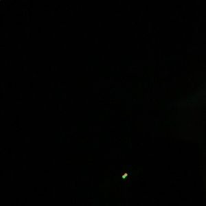 Meet your Posher, Jace